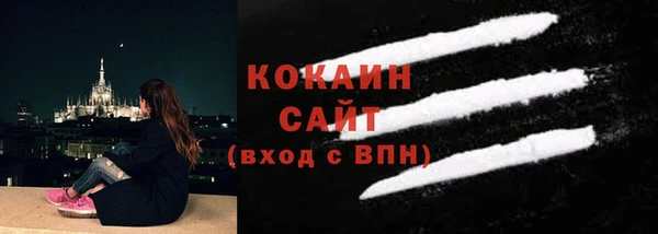 эйфоретик Вяземский