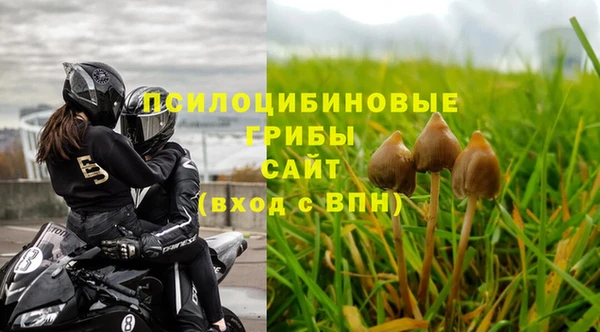 ALPHA-PVP Снежногорск