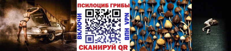 Галлюциногенные грибы GOLDEN TEACHER Иннополис